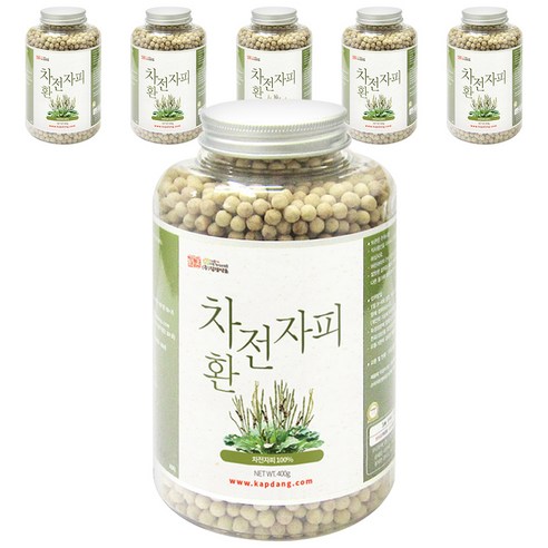 갑당약초 차전자피환, 400g, 6개