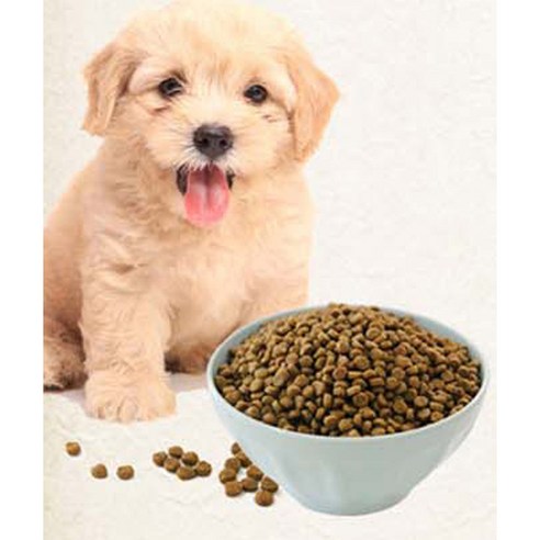 건강백서 전연령 애견 기능성 사료, 뼈/관절강화, 3.9kg, 1개