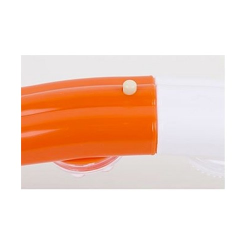 운동의 즐거움과 효과를 동시에!