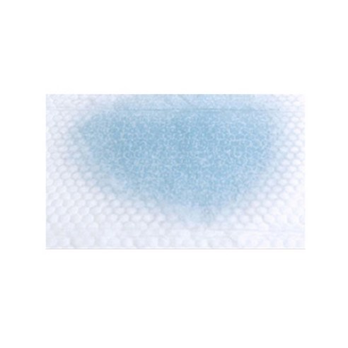 편안한 애견 생활의 필수 아이템