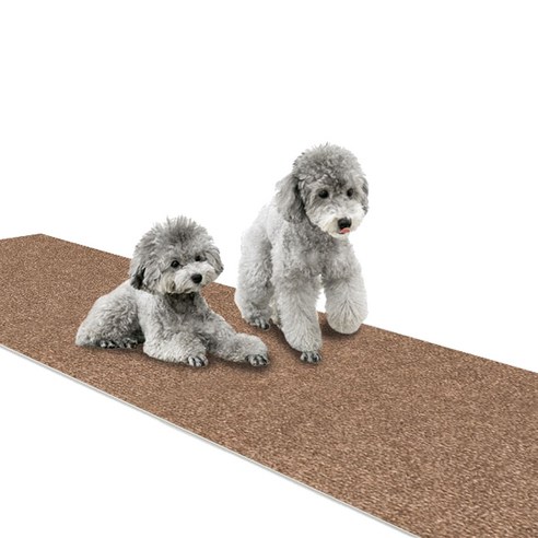 딩동펫 반려동물 미끄럼방지 롤매트, 브라운, 1개
