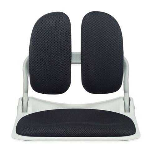 이편한의자 화이트프레임 접이식 메쉬 좌식의자, 블랙