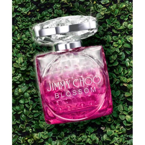 매혹적인 향기의 세계로의 여정