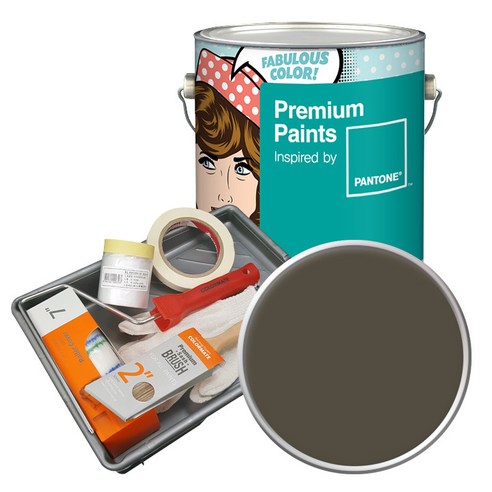 노루페인트 팬톤 내부용 실내벽면 저광 페인트 4L 세트, 19-0822 Tarmac, 4000ml