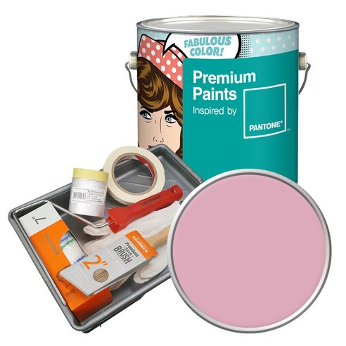 노루페인트 팬톤 내부용 실내벽면페인트 세트 무광 4L, 14-2307 Cameo Pink, 4000ml, 1개