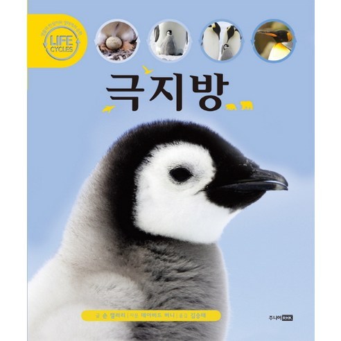 극지방 (주니어RHK), 주니어RHK