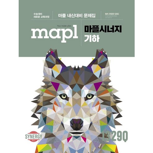 마플시너지 기하 (2024년):마플 내신대비 문제집, 희망에듀 마플교과서 마플시너지 기하 (2024년):마플 내신대비 문제집, 희망에듀 마플교과서