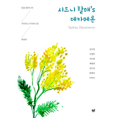 Sooyoung Kim 雪梨奶奶的十日談 藍路 9788962919981