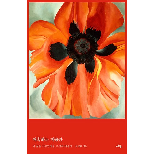 [藝術書籍]迷人的美術館：感動我生活的12位藝術家 藝術書籍 宋正熙 9788961964388 藝術