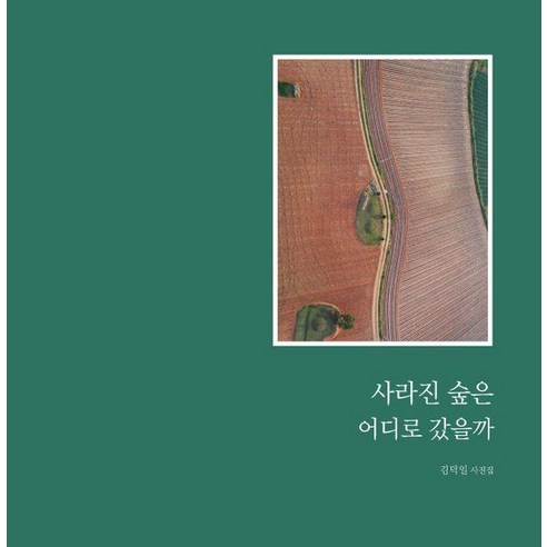 사라진 숲은 어디로 갔을까:김덕일 사진집, 상상창작소봄, 김덕일