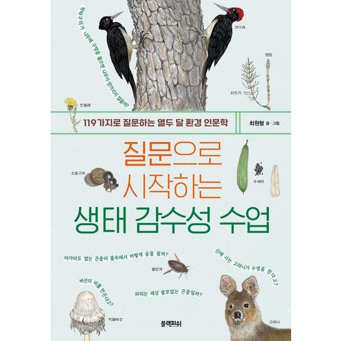 질문으로 시작하는 생태 감수성 수업:119가지로 질문하는 열두 달 환경 인문학, 블랙피쉬, 최원형