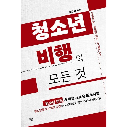 청소년 비행의 모든 것, 하움출판사, 소경섭