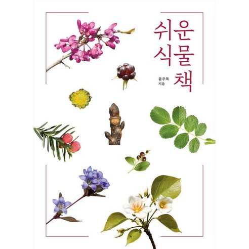 쉬운 식물책, 윤주복(저), 진선북스, 윤주복