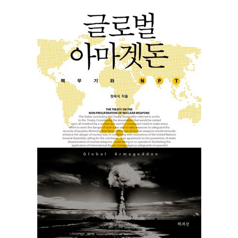 글로벌 아마겟돈:핵무기와 NPT, 책세상, 정욱식 저