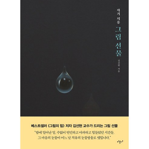 [미문사]자기 치유 그림 선물, 미문사, 김선현