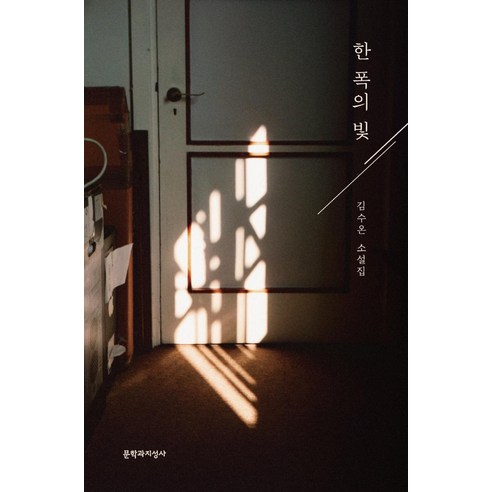 金秀恩 一片光 金秀恩小說集 一片光金秀恩小說集 文學與志成寺 9788932039145