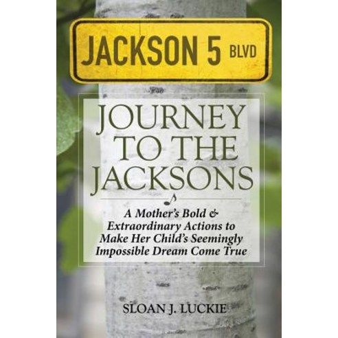 Journey to the Jacksons: A Mother''s Bold & Extraordinary Actions to Make Her Child''s Seemingly Impossi..., Createspace Independent Publishing Platform