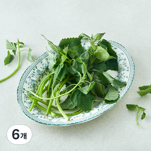 국내산 방아잎, 50g, 6개
