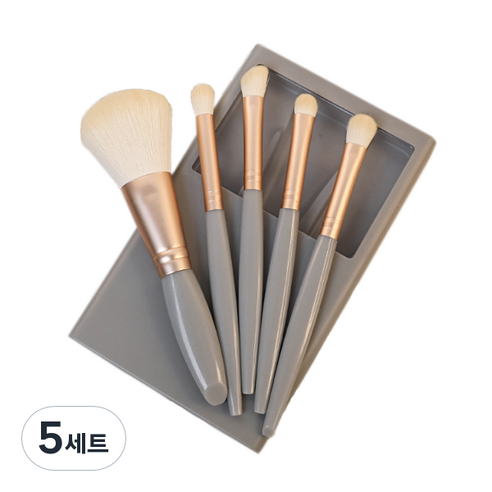 디에스 휴대용 멀티 브러쉬 5종 세트, 그레이, 5세트