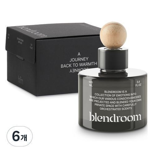블랜드룸 차량용 디퓨저 100ml, 6개, 그린시숄