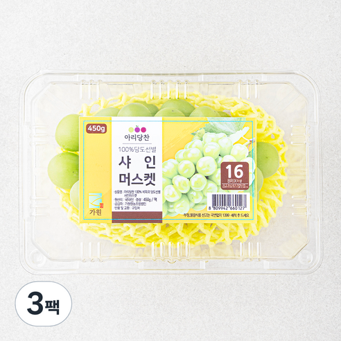 아리당찬 비파괴 당도선별 샤인머스켓, 450g, 3팩