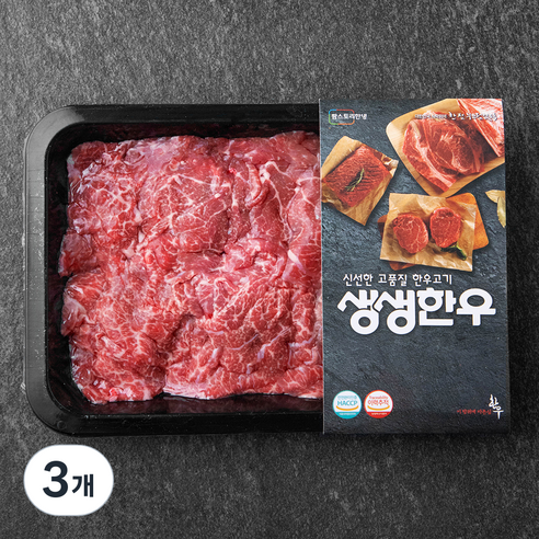 생생한우 1등급 불고기용 (냉장), 300g, 3개