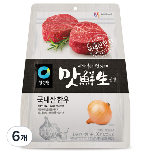 대상 청정원 맛선생 한우 양념 분말, 120g, 6개