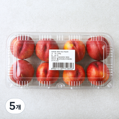 영천 천도 복숭아, 1.2kg, 5개