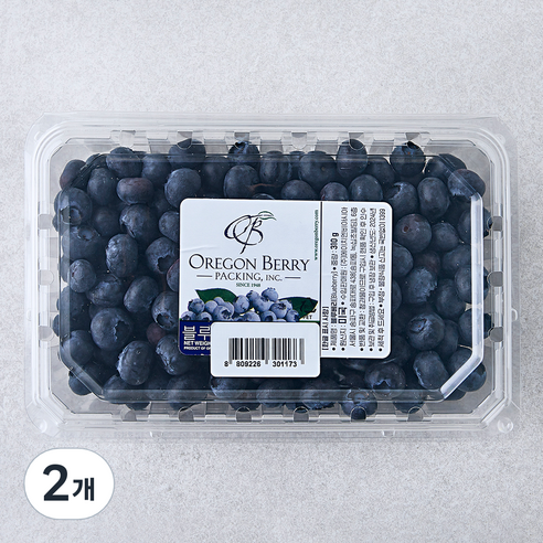 H&B 미국산 블루베리, 310g, 2개