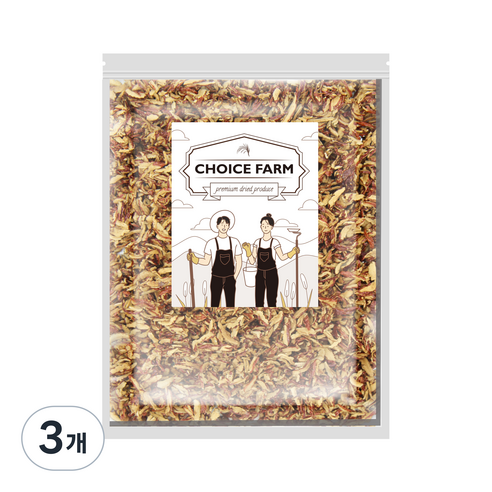 초이스팜 건대추 슬라이스, 3개, 500g