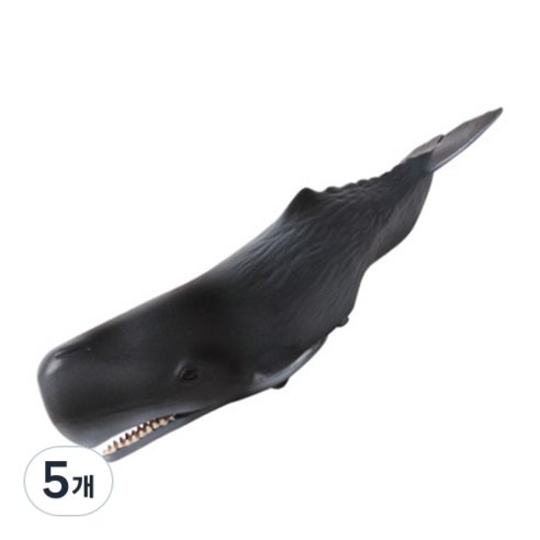동물 피규어 하드재질 바퀴 향유고래, 5개
