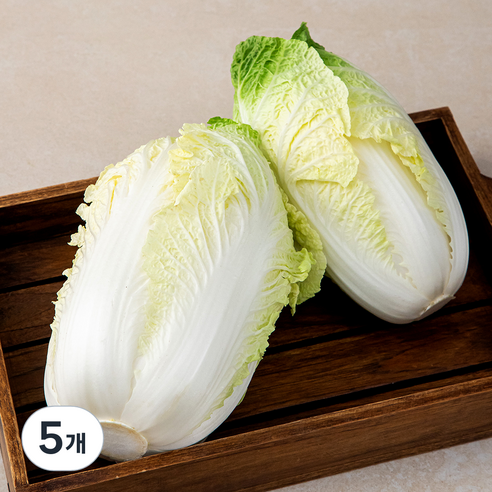 알배기배추 국내산, 1kg, 5개, 1kg
