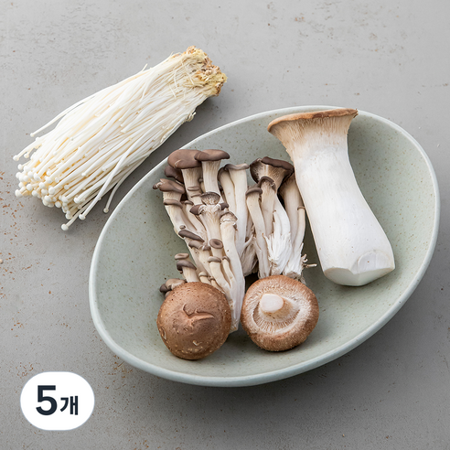 무농약인증 구이용 버섯 모음, 400g, 5개