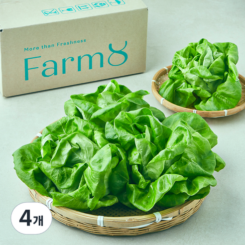 팜에이트 무농약 인증 only 버터헤드레터스 샐러드, 400g, 4개