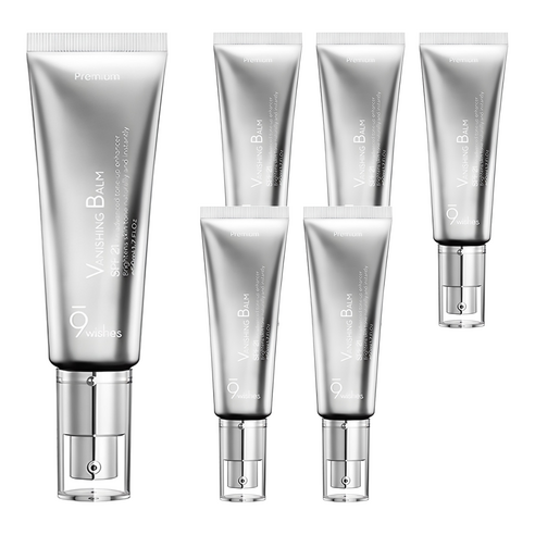 나인위시스 VB 프리미엄 톤업크림 SPF21, 50ml, 6개