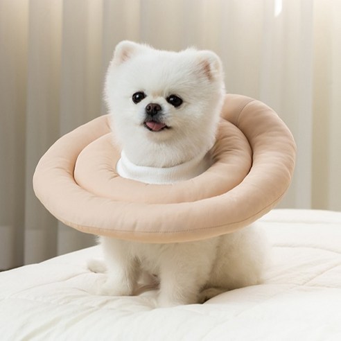 애완동물의 안전과 스타일을 동시에!