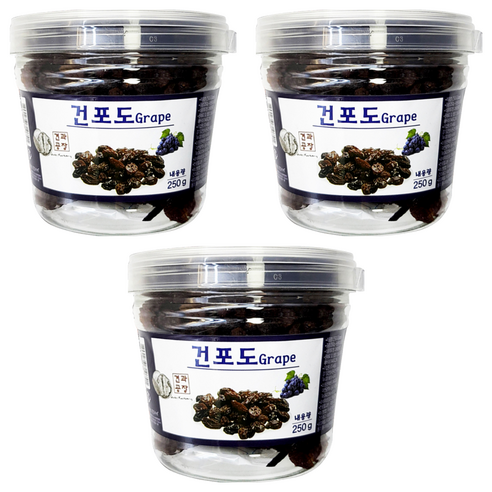 로얄푸드 건포도 용기, 250g, 3개