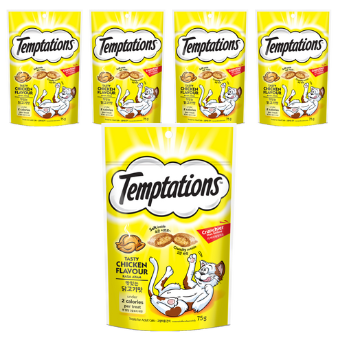 템테이션 고양이 맛있는 닭고기맛, 75g, 5개