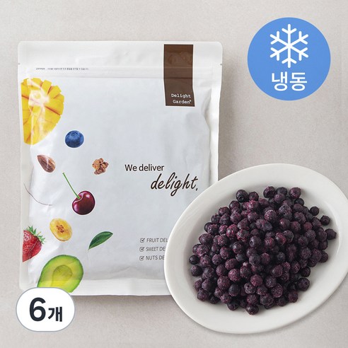 캐나다산 와일드블루베리 (냉동), 500g, 6개