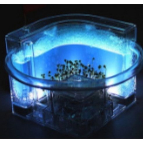 작은 생명으로 특별한 일상을 선물하는 홈앤네이처 야광 개미 키우기 세트