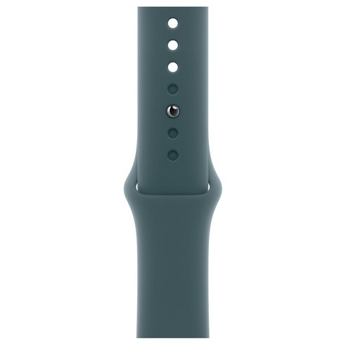 Apple 스마트워치 스포츠 밴드, 레이크그린, 46mm, M/L, 1개
