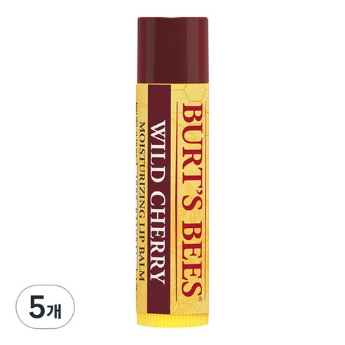 버츠비 모이스춰라이징 립밤, 와일드 체리, 4.25g, 5개