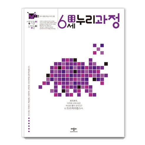 생각놀이 느낌놀이, 6세 누리과정, 애플비