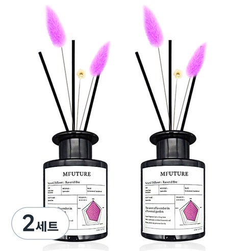 엠퓨처 프리미엄 화장실 실내 방향제 디퓨저 150ml + 리드꽃 랜덤발송 2p 세트, 2세트, 라벵드브레