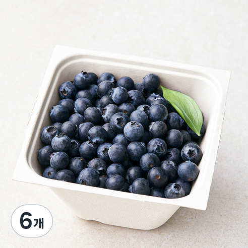 아주마 무농약 인증 산지직송 작아도 맛있는 블루베리, 250g, 6개