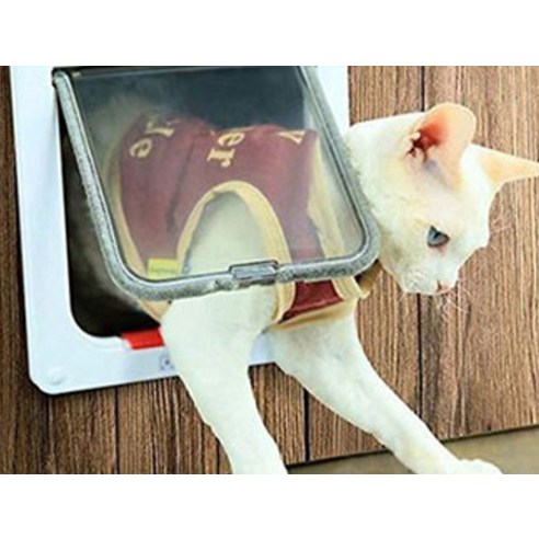 댕냥이에게 자유를, 보호자에게 편리함을! 양방향 펫도어로 행복한 동행을 시작하세요.