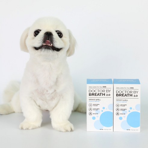 사랑하는 반려견을 위한 최상의 선택