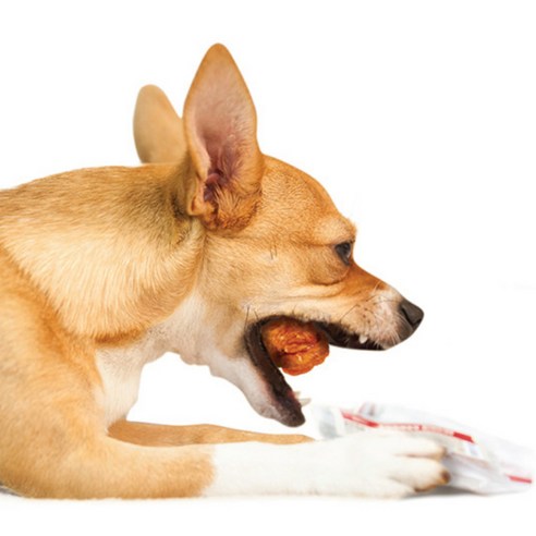 슈퍼츄 터키츄, 사랑하는 반려견을 위한 건강하고 행복한 선택!