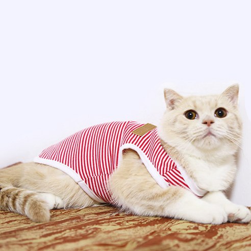 아리코 고양이&강아지 코튼 스트라이프 티셔츠, 레드