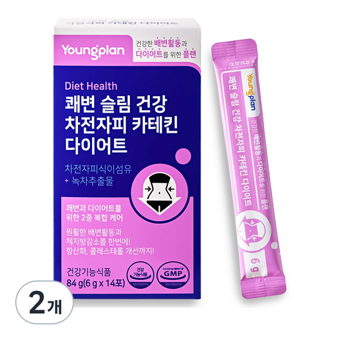 영진약품 쾌변 슬림 건강 차전자피 카테킨 다이어트, 84g, 2개